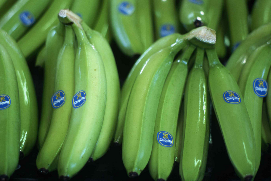 Середнього розміру плід містить близько 25 грамів вуглеводів, можливо, навіть менше, якщо банан незрілий (зелений)